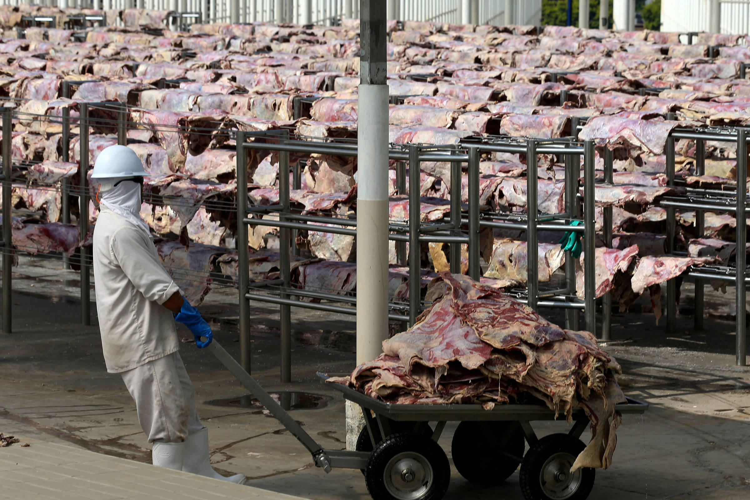 Carne bovina pode liderar produção global, e mira exterior - - Vaivém