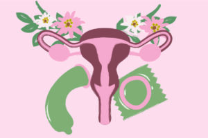 A imagem apresenta uma ilustração estilizada do sistema reprodutivo feminino, com um útero central em tons de rosa e marrom. Ao redor do útero, há flores em rosa e branco, além de um preservativo e um objeto em forma de banana, ambos em cores verde e rosa, dispostos de maneira artística. O fundo é de cor rosa claro.