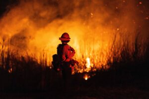 O que motivará o enfrentamento das mudanças climáticas? - 15/02/2025 - Candido Bracher