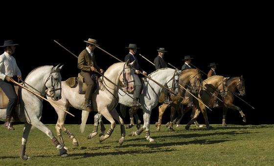 Arte Equestre Portuguesa é inscrita na Lista do Patrimônio Imaterial da Unesco