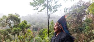 O programa de reflorestamento do Instituto Zág ajudou a salvar a árvore sagrada Zág do Brasil, que possui valor nutritivo, espiritual, ancestral, medicinal e terapêutico