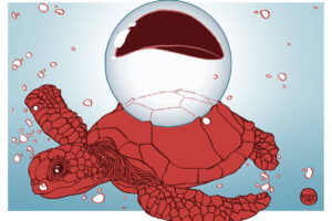 A ilustração de Luciano Salles, publicada na Folha de São Paulo no dia 20 de abril de 2025, mostra uma tartaruga marinha debaixo da água e com uma bola de cristal nas costas. A bola de cristal está suportada pelo casco da tartaruga. A tartaruga é toda vermelha e dentro da bola de cristal há uma representação de uma superfície líquida preta porém na parte de cima da bola cristal, ou seja,  este líquido escuro está de ponta cabeça em relação a tartaruga.