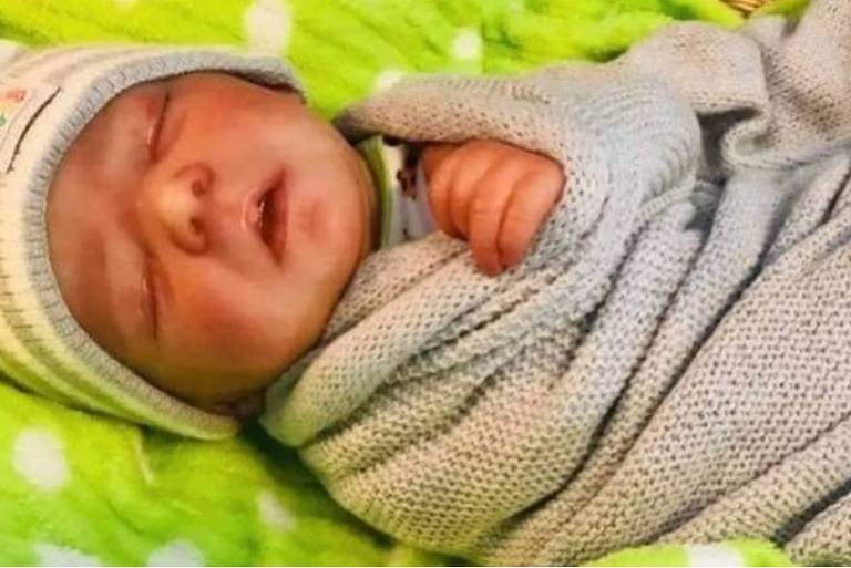 Cachorro robô, bebê reborn e a preguiça do afeto - 04/05/2025 - Morte Sem Tabu