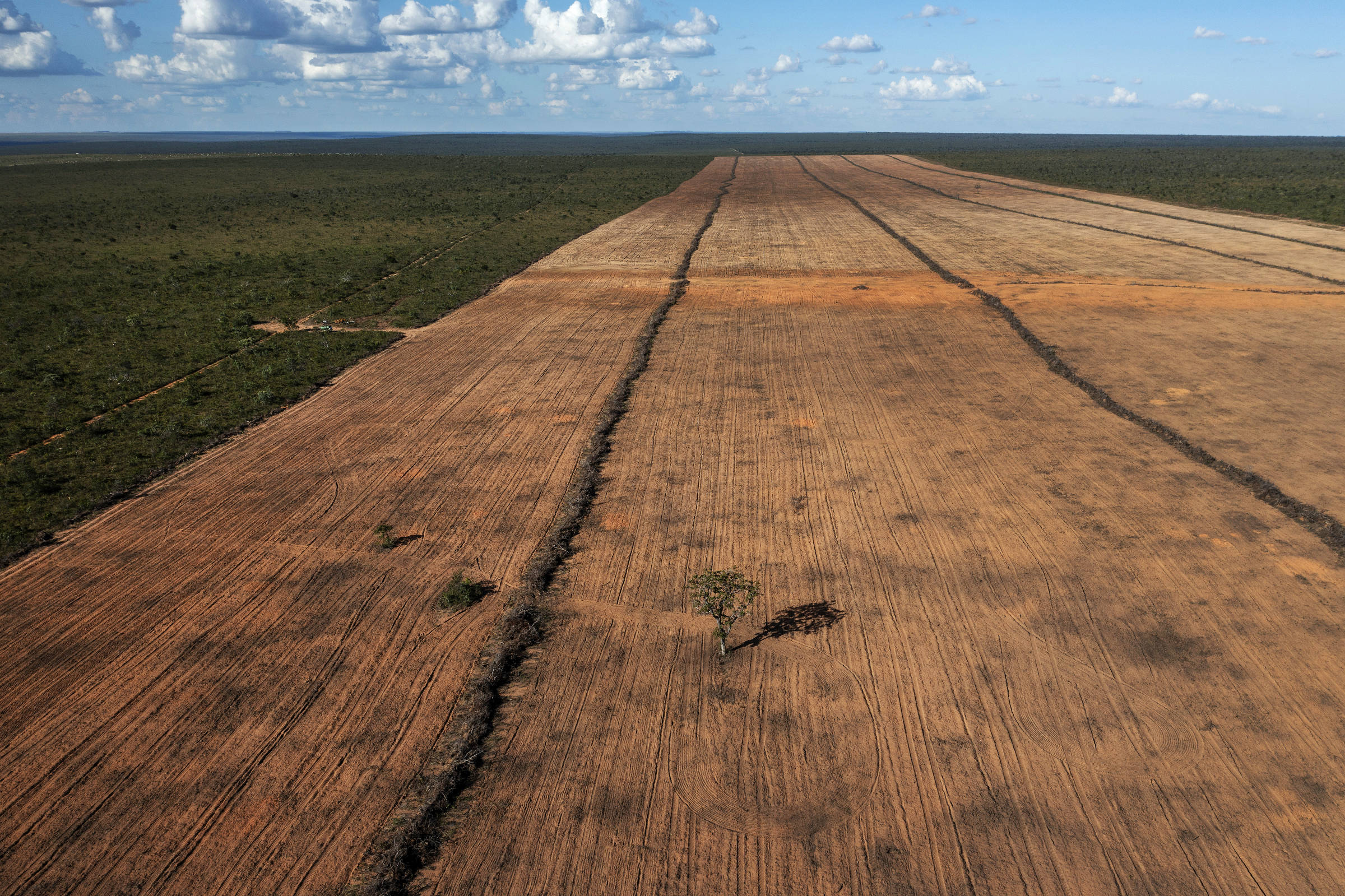 A imagem mostra uma vasta área rural com solo exposto, evidenciando marcas de desmatamento. O terreno é predominantemente plano, com linhas de cultivo visíveis, e ao fundo há uma vegetação mais densa, indicando a transição entre a área desmatada e a floresta. O céu está parcialmente nublado, com algumas nuvens.