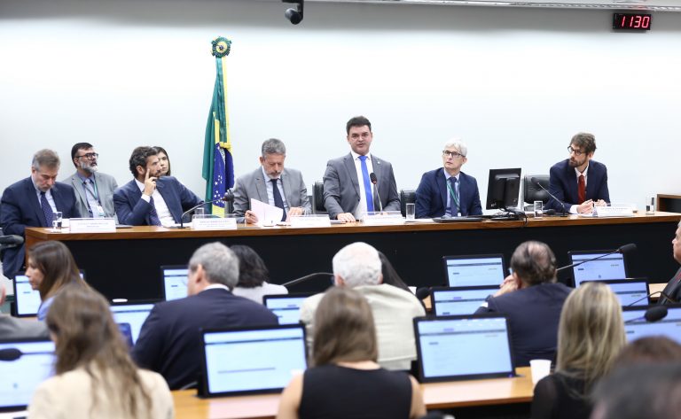 Audiência Pública - Os possíveis efeitos da proposta.