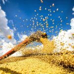 PIB brasileiro cresceu 1,4% no 1°. trimestre: agronegócio lidera