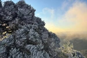 A imagem mostra uma vista de uma montanha com árvores cobertas de gelo ou geada. O céu está claro, com nuvens e uma luz suave que ilumina a cena. Ao fundo, é possível ver uma vasta paisagem montanhosa, com neblina ou nuvens baixas se espalhando pela área.