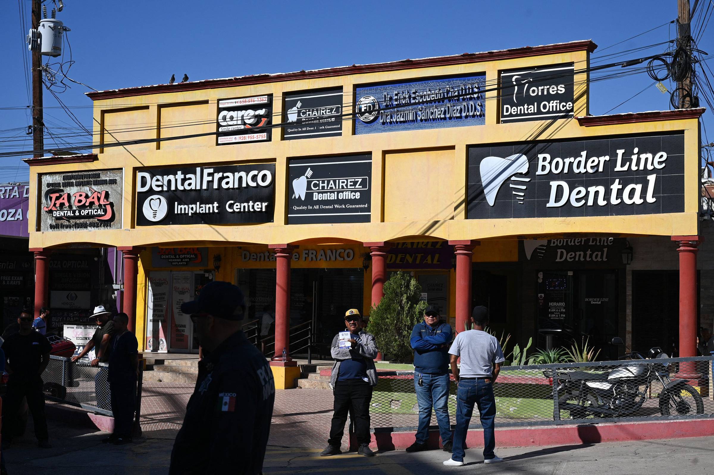Economia dental - 24/06/2025 - Deirdre Nansen McCloskey