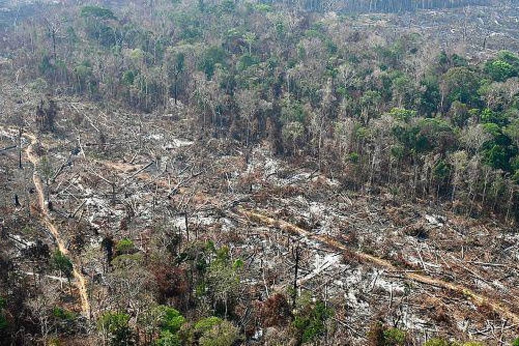 O PL da Devastação e a miopia climática - 13/06/2025 - Oscar Vilhena Vieira