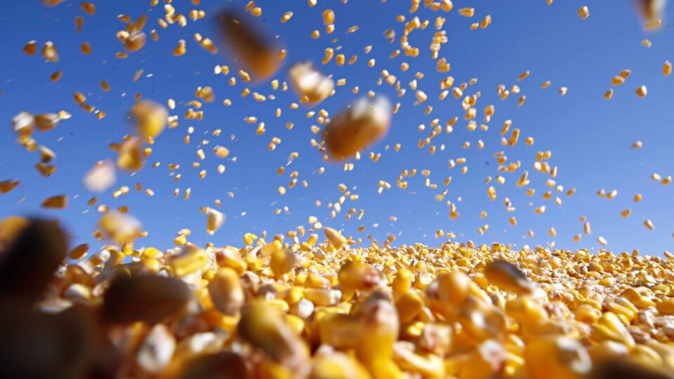 Tributação no agronegócio: como investimentos são afetados