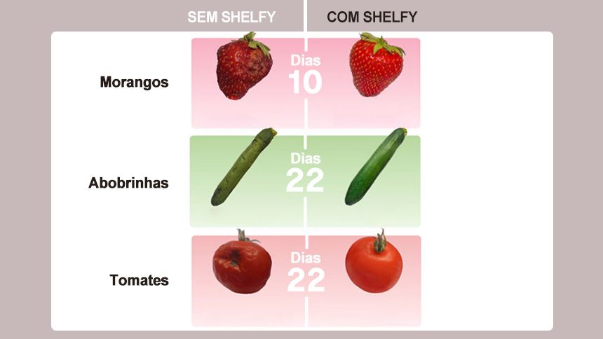 A "arma" made in Italy contra o desperdício de alimentos começa a ganhar tração