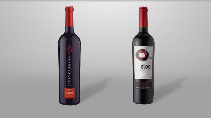Vinhos de baixa intervenção: a volta dos produtores contemporâneos às origens da bebida