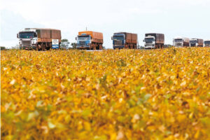 Itaú BBA recomenda cautela a produtores - 03/07/2025 - Vaivém