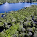 Vista da Floresta Amazônica: alegações do governo americano sobre desmatamento ilegal no Brasil são similares às feitas por países europeus que se valem do "protecionismo ambiental".