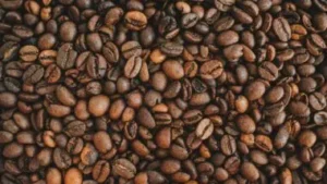 Em alerta com a proximidade do início do tarifaço americano, setor de café brasileiro tem 183 empresas habilitadas para exportar grão para a China