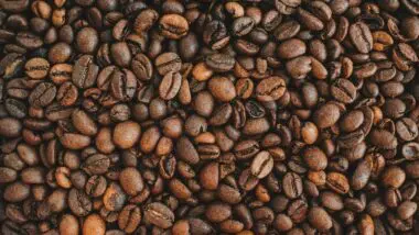 Em alerta com a proximidade do início do tarifaço americano, setor de café brasileiro tem 183 empresas habilitadas para exportar grão para a China