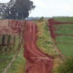 Agro ganharia R$ 6,4 bilhões ao ano com melhores estradas rurais