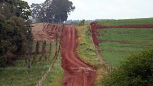 Agro ganharia R$ 6,4 bilhões ao ano com melhores estradas rurais