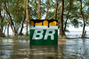 A imagem mostra uma placa de um posto de combustível da marca BR, parcialmente submersa em água. A placa é verde com letras brancas e uma parte superior amarela que parece estar escorrendo, como se fosse óleo. Ao fundo, há árvores ao redor e uma área alagada, indicando uma inundação.