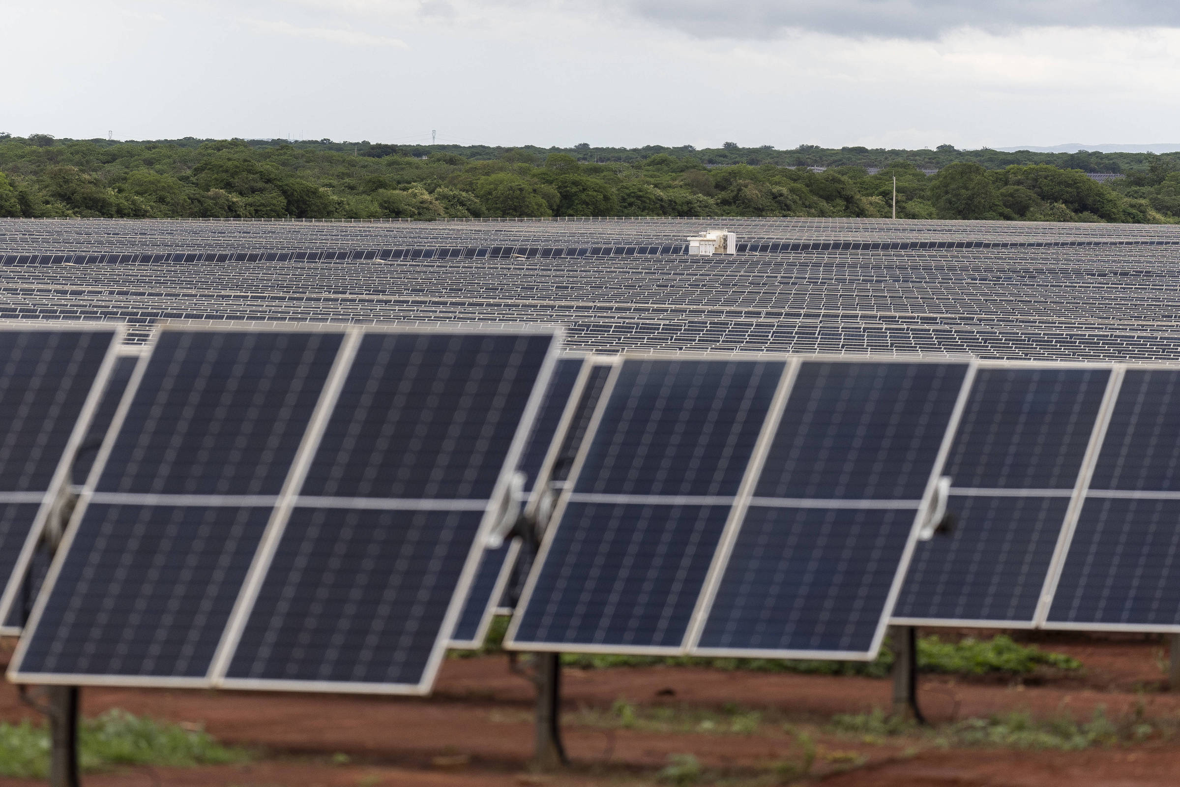 A imagem mostra um grande campo de painéis solares dispostos em fileiras. Os painéis são predominantemente de cor escura e estão posicionados em um terreno de terra vermelha. Ao fundo, há uma vasta área verde com árvores e um céu nublado.