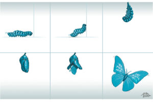 Imagem ilustrada em tons de azul sobre fundo branco, organizada em seis quadros, como uma sequência narrativa.  No primeiro quadro, à esquerda, aparece uma lagarta azul, vista de perfil, rastejando sobre uma linha que representa o chão. Seu corpo é segmentado e levemente arqueado.  No segundo quadro, a lagarta começa a se erguer, levantando a parte frontal do corpo, sugerindo movimento e transformação.  No terceiro quadro, a lagarta está suspensa no ar, curvada, indicando o início da metamorfose.  No quarto quadro, na linha de baixo à esquerda, surge um casulo azul, pendurado, fechado e imóvel.  No quinto quadro, o casulo começa a se abrir, revelando partes internas e sinais de mudança.  No sexto e último quadro, à direita, aparece uma borboleta azul de asas abertas, em posição de voo. Nas asas há palavras escritas em branco, formando a expressão REFORMA TRIBUTÁRIA. A borboleta transmite leveza e movimento.  No canto inferior direito da imagem, há a assinatura do artista: Amarildo.  A sequência visual representa simbolicamente um processo de transformação, da lagarta à borboleta.