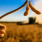 Recuperação judicial e falências podem ter novo recorde em 2026