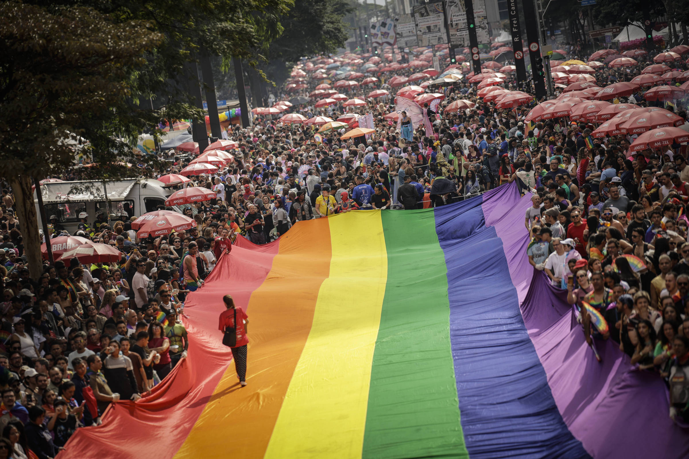 Direitos garantidos da comunidade trans têm de ser respeitados – 29/01/2026 – Opinião