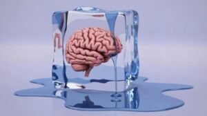 Alunos em resposta congelada: tudo o que você precisa saber