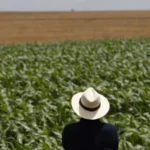 Reflexos do conflito no Oriente Médio vão de custos de fertilizantes e combustíveis a rotas de escoamento de exportações do agro brasileiro