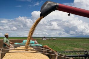 Cadeia da soja pode deixar mais renda no mercado interno - 07/05/2026 - Vaivém
