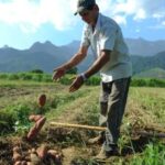 Governo orienta contra PL que permite renegociar dívidas do agro