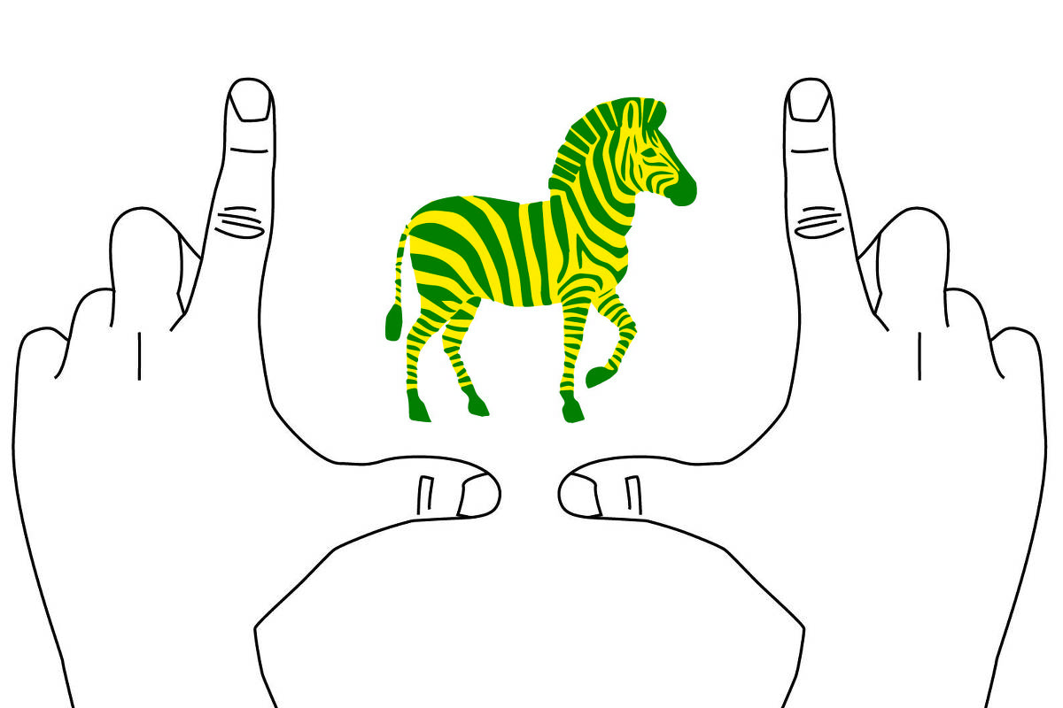 Duas mãos enquadrando uma zebra verde e amarela.