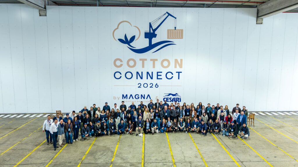 Cotton01.1