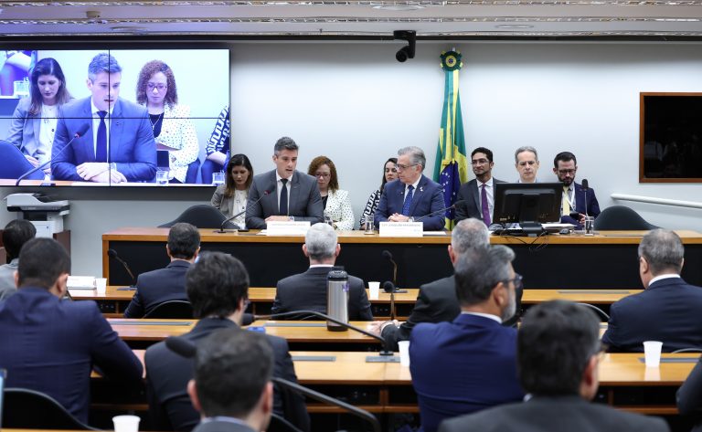 Secretário-executivo de Minas e Energia presta esclarecimentos à Comissão.