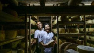 Tulha, o queijo caipira que conquistou a alta gastronomia