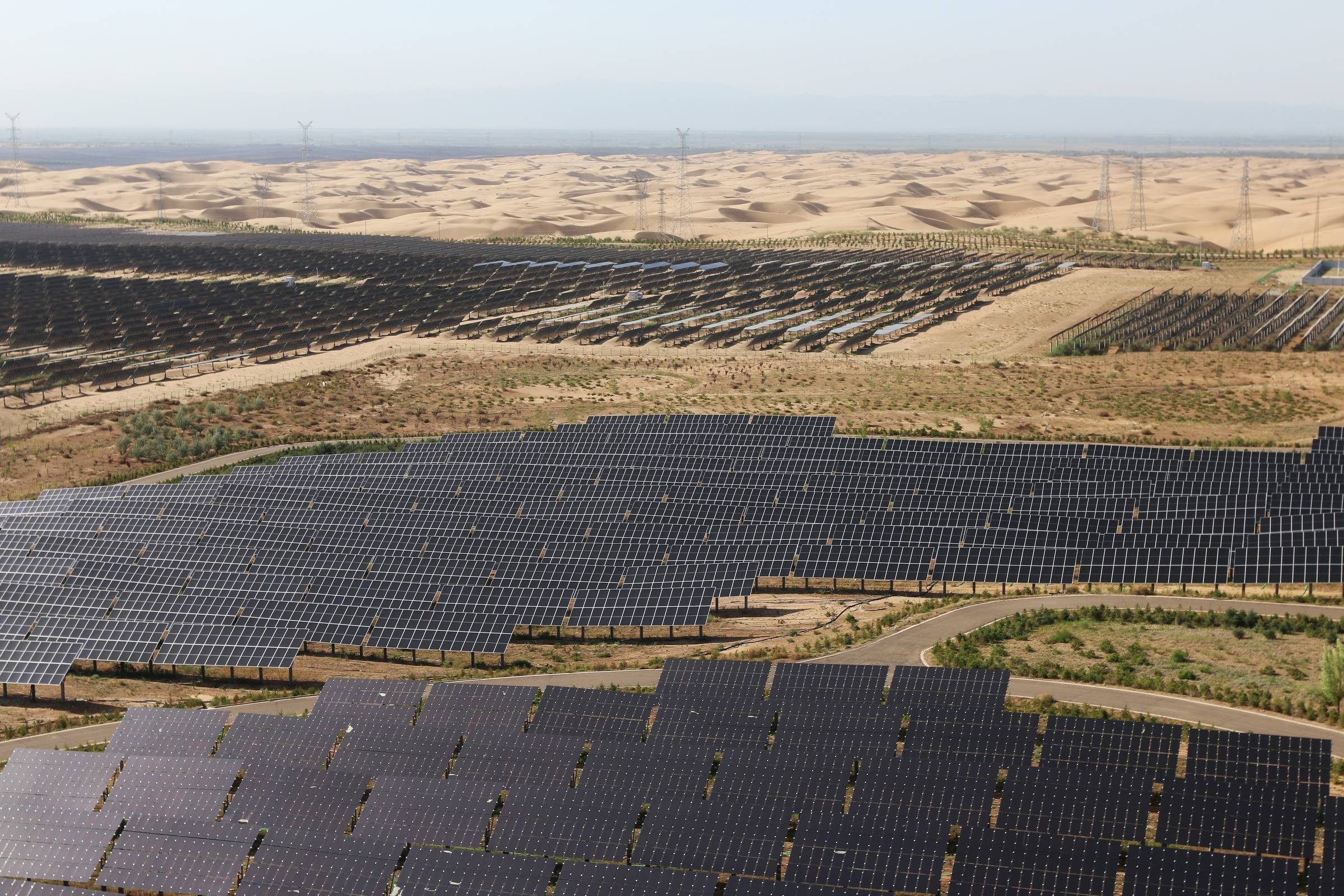 Energia solar na China reduz diversidade de aves – 21/08/2026 – Economia
