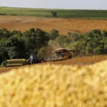 Cooperativas do agro ignoram crise e movimentam R$ 487 bilhões