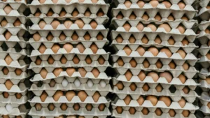 Escala na produção de ovos foi a base para a expansão dos negócios de Ricardo Faria no exterior