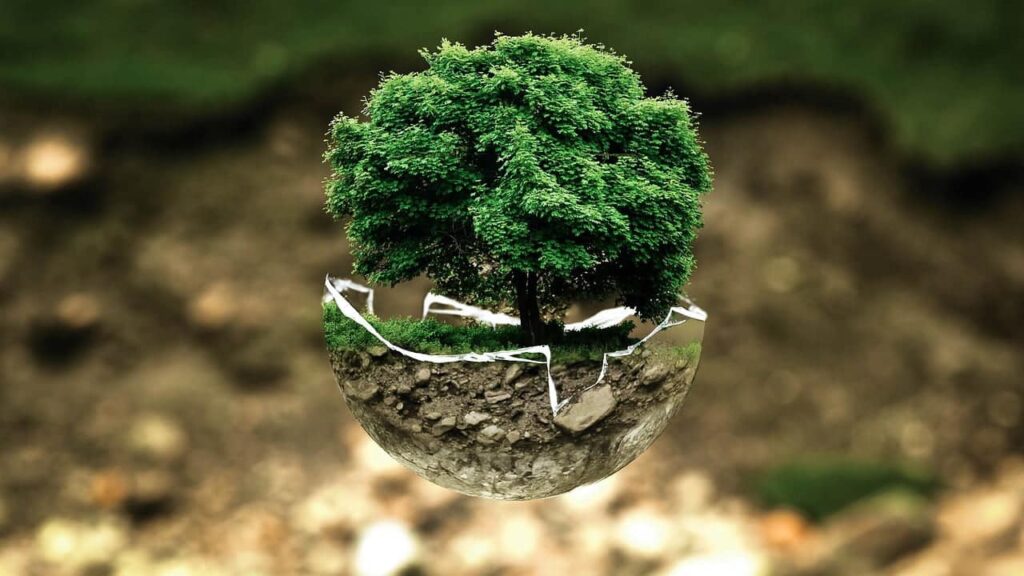 Risco Ambiental