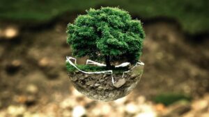 Risco Ambiental