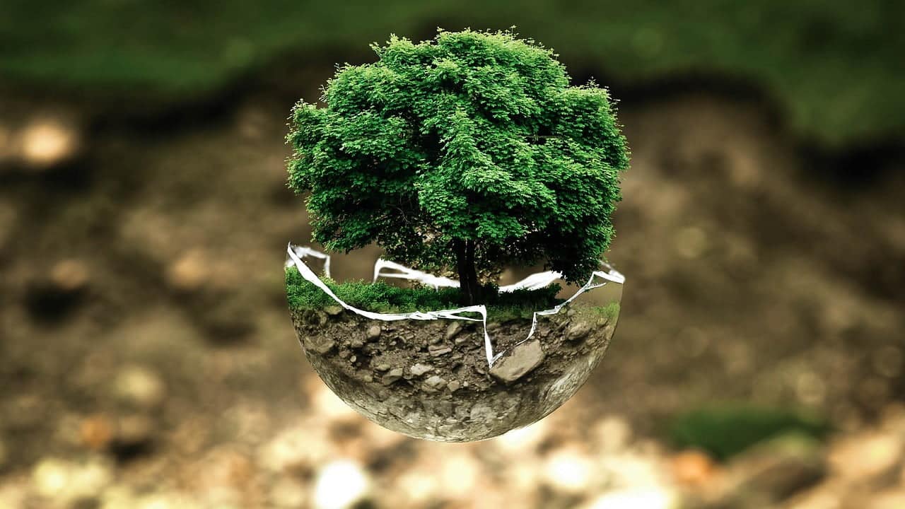 Risco Ambiental